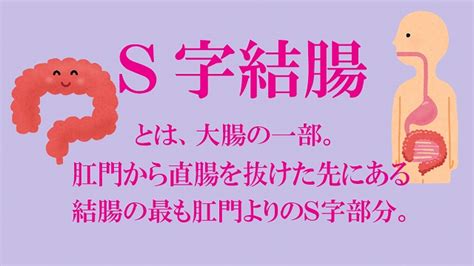 結腸 エロ|【腸内拡張・S字結腸超え・アナル拡張】触手のような超ロング。